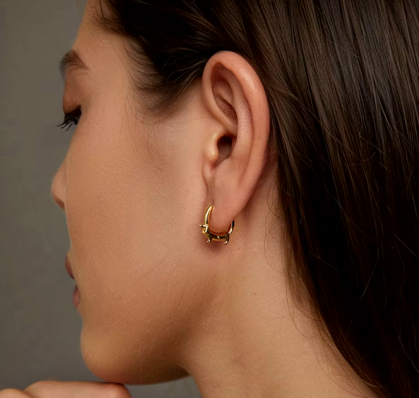 Dachshund Hoops Pet Lovers Earrings - emmy-rae-jewels.com