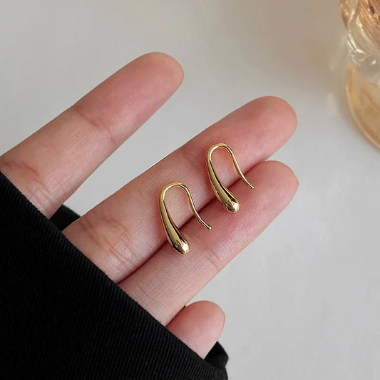 Water Drop Earrings
